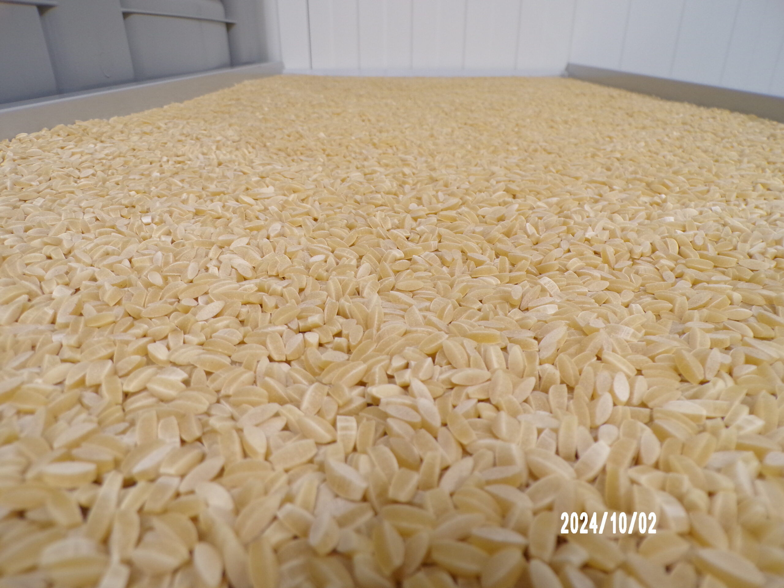 KODAK Digital Still Camera