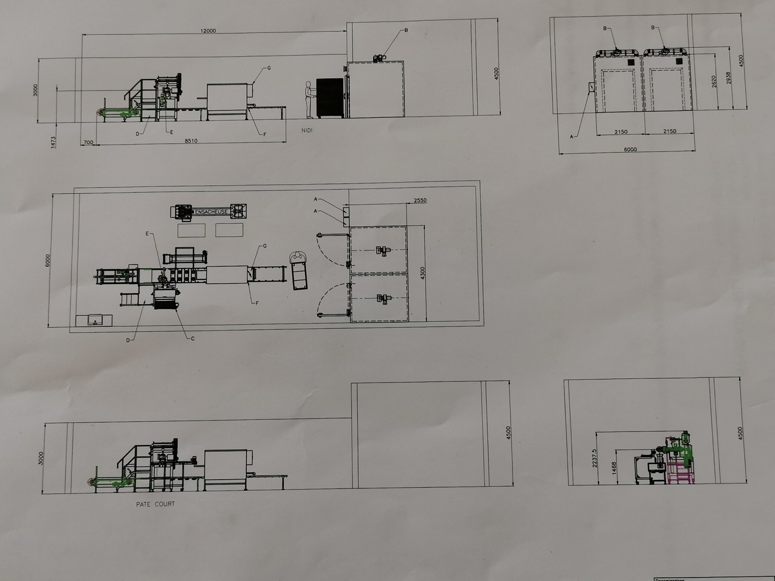 IMG_20210731_121316 (1)